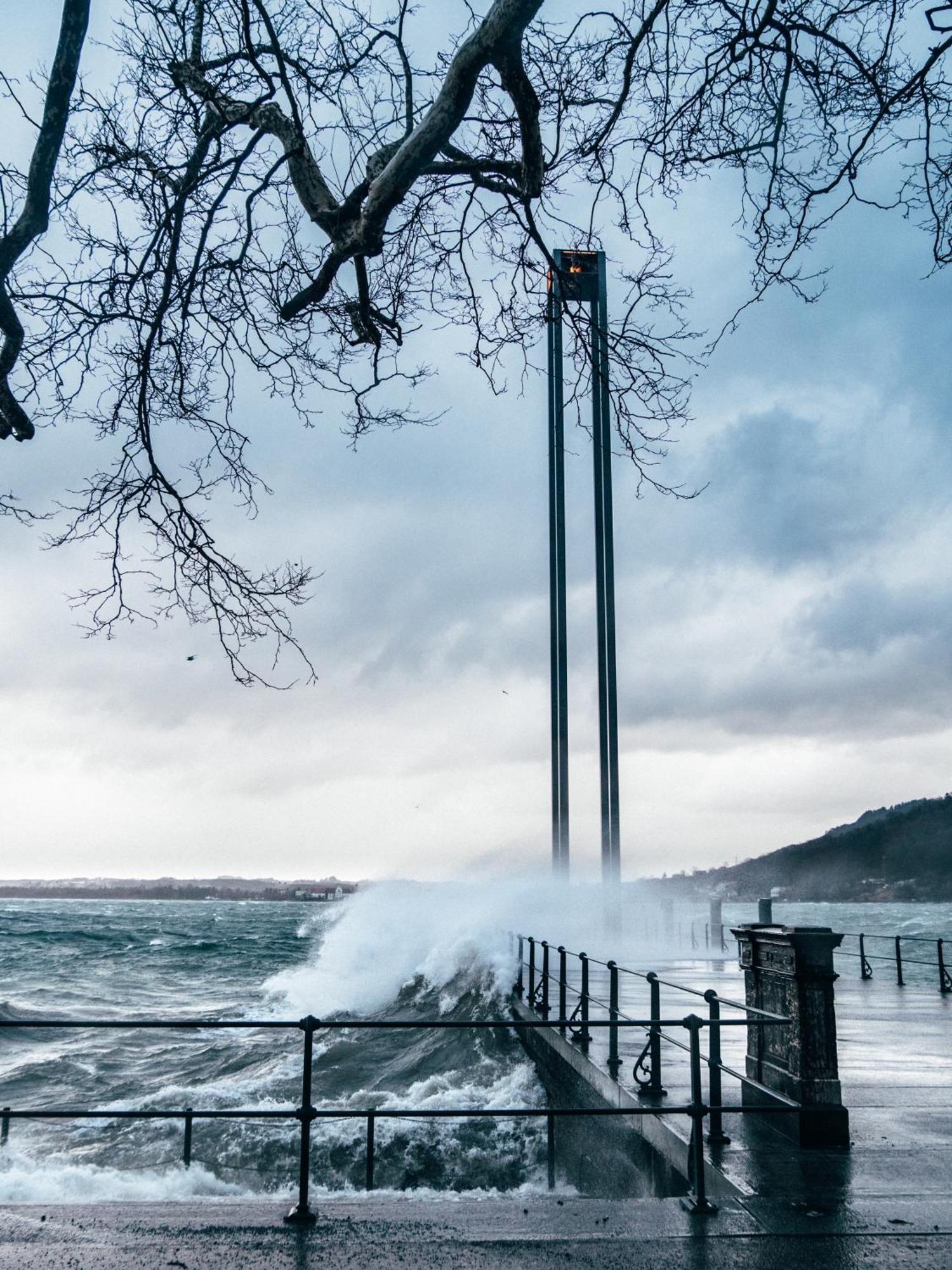 Seeblick Bregenz - Mit Parkgarage Eksteriør billede