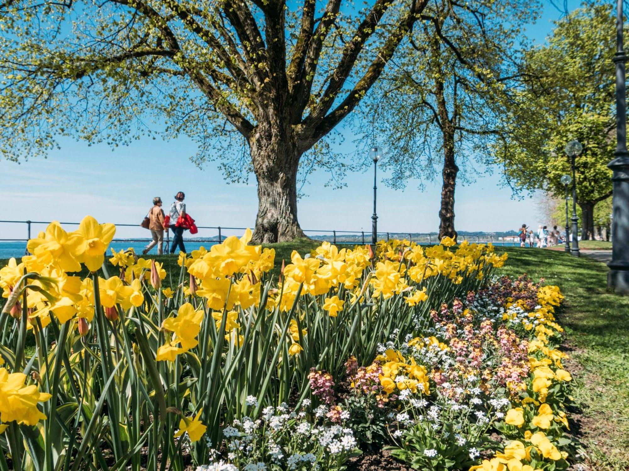 Seeblick Bregenz - Mit Parkgarage Eksteriør billede